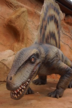 Dimetrodon - Dimetrodon limbatus