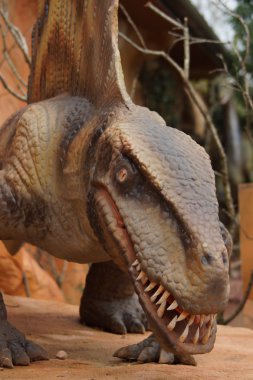 Dimetrodon - Dimetrodon limbatus