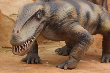 Dimetrodon - Dimetrodon limbatus