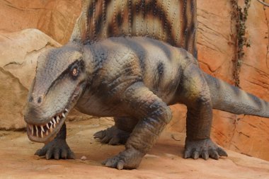 Dimetrodon - Dimetrodon limbatus