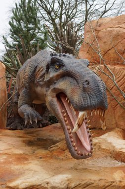Büyük bir Gorgonops torvus
