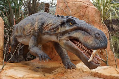 Büyük bir Gorgonops torvus
