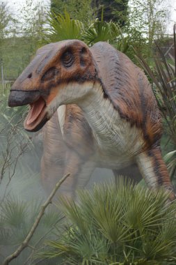 Büyük bir Hadrosaurus foulkii