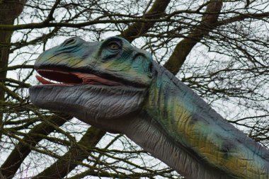 Büyük bir Mamenchisaurus constructus