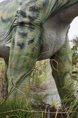 Mamenchisaurus - Mamenchisaurus constructus