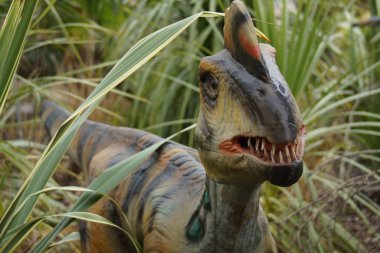 Çevik bir Oviraptor philoceratops