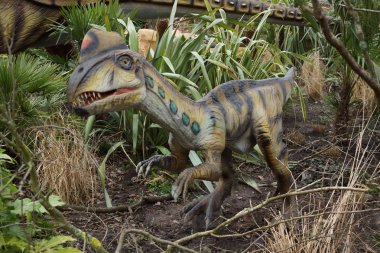 Çevik bir Oviraptor philoceratops