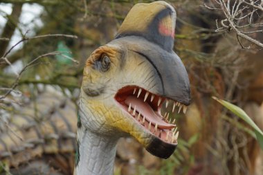 Oviraptor - Oviraptor philoceratops