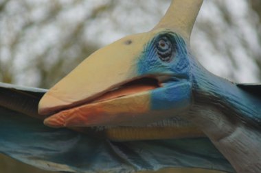 Büyük bir Pteranodon longiceps