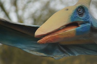 Büyük bir Pteranodon longiceps