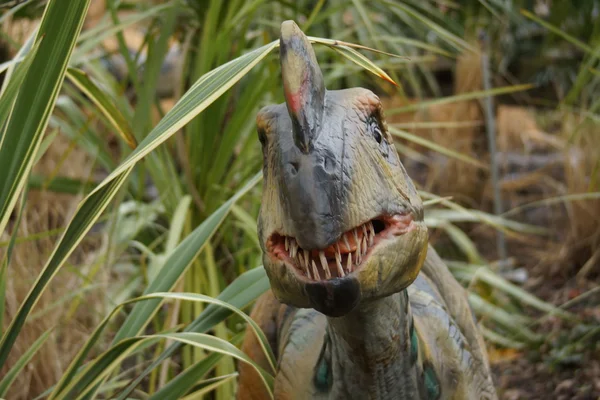 Um filoceratops ágil Oviraptor — Fotografia de Stock