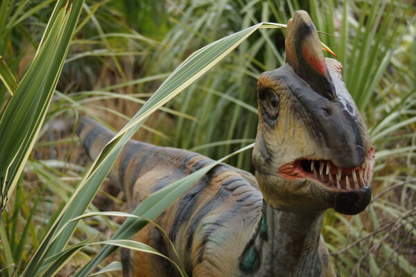 Ловкий филоцератопс овираптора
