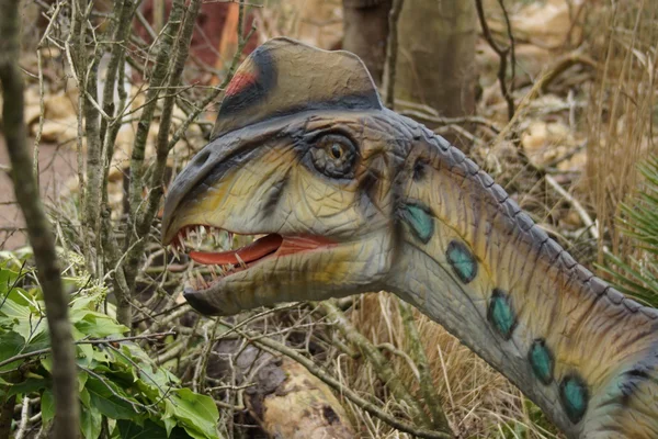 Un ágil Oviraptor philoceratops —  Fotos de Stock