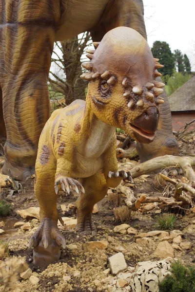Пачісфалозавр - Пачісфалозавр Вихованняensis — стокове фото