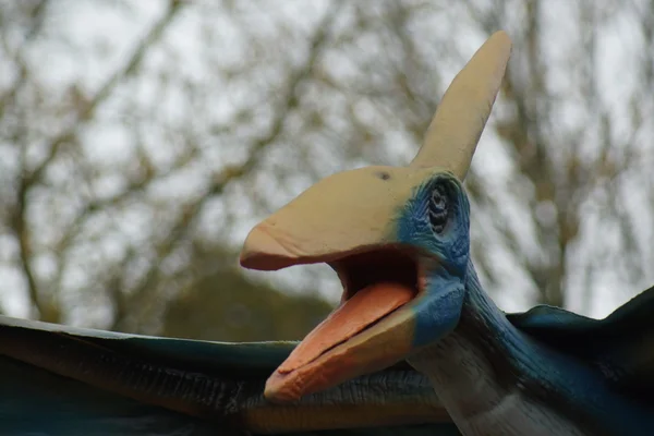 Egy nagy Pteranodon longiceps — Stock Fotó