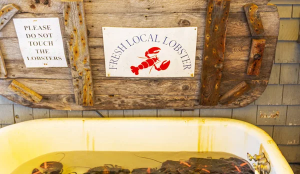 Una Bañera Está Llena Langostas Frescas Capturadas Maine Restaurante Port — Foto de Stock