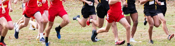 Старт Hhgh School Boys Cross Country Running Grass Field — стоковое фото