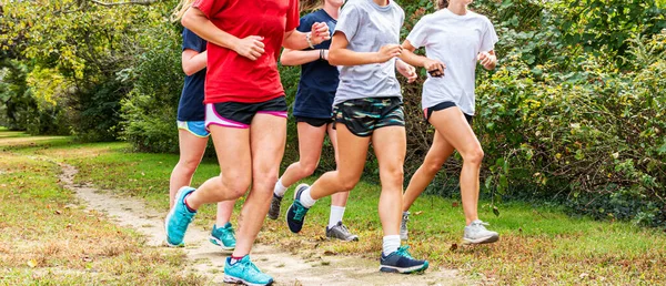 Meninas Ensino Médio Cruzam Equipe Campo Correndo Grupos Uma Trilha — Fotografia de Stock