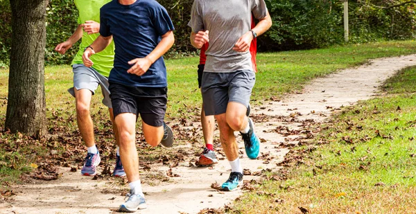 Four high school boys training on a cross country team running together in a park with leaves on the ground.