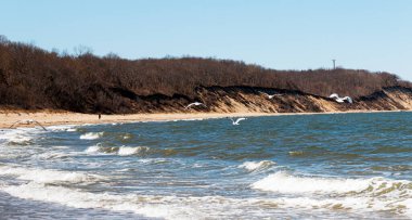Long Island 'da rüzgârda uçan martılar Batık Çayır Eyalet Parkı' ndaki kayalık tepelere bakıyor.