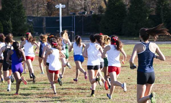 Visão Traseira Meninas Ensino Médio Correndo Uma Corrida Cross Country — Fotografia de Stock