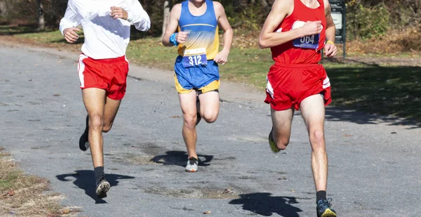 Thre Gymnasiet Pojkar Tävlar Terränglöpning Ras Grusväg Vid Van Cortlandt — Stockfoto