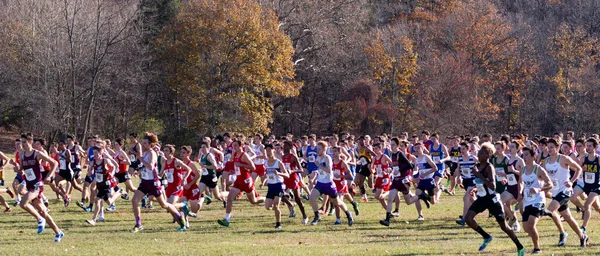 美国纽约州瓦平格瀑布市 2019年11月23日 一群高中男生在公园的田径赛开始时跑步的侧视图 — 图库照片