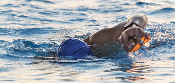 Detailní Záběr Plavce Plavání Kameru Modrém Plaveckém Čepici Plavání Freestyle — Stock fotografie