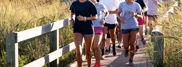 Middelbare School Meisjes Cross Country Team Hardlopen Een Promenade Omgeven — Stockfoto