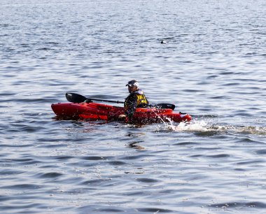 Brightwaters, New York, ABD - 14 Temmuz 2022: Güneşli bir günde bir kişi sakin bir gölde kırmızı bir kano sürüyor.