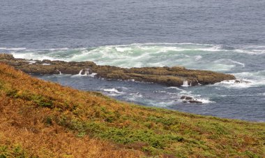 Dalgalar kayalara çarparken, kıyı şeridi Galiçya İspanya 'da yeşillik gösteriyor..