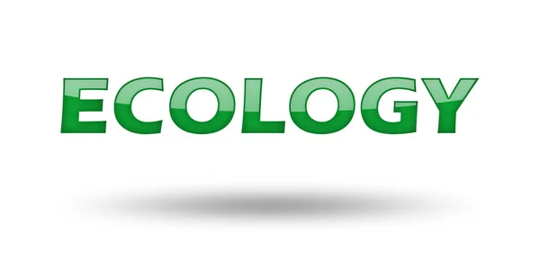 Ordet ekologi med gröna bokstäver och skugga. — Stockfoto