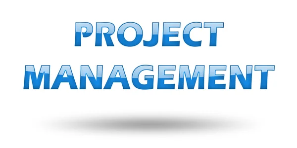 Text Project Management with blue letters and shadow. — Stock Photo, Image