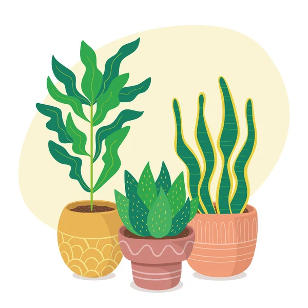 Green Houseplants Clay Pots Composition — Stock Vector