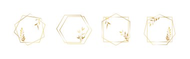 Yapraklı altın geometrik vektör çerçeveleri. Lüks prim tasarımı için ince hat haxagon sınırları