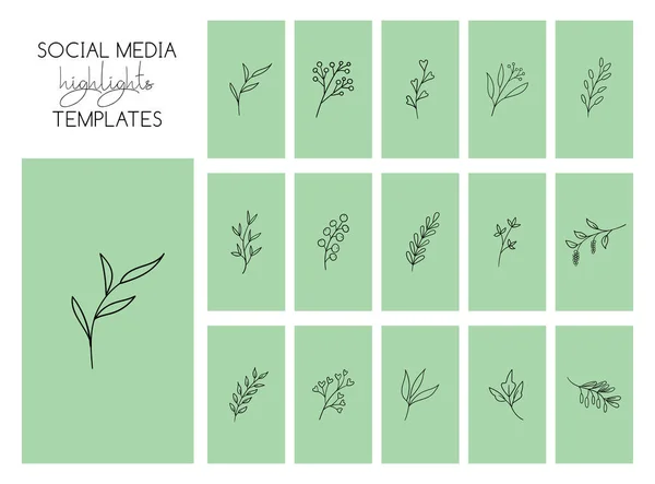 As mídias sociais destacam modelos de histórias com plantas desenhadas à mão em um fundo verde. Vector fundos florais mínimos para instagram —  Vetores de Stock