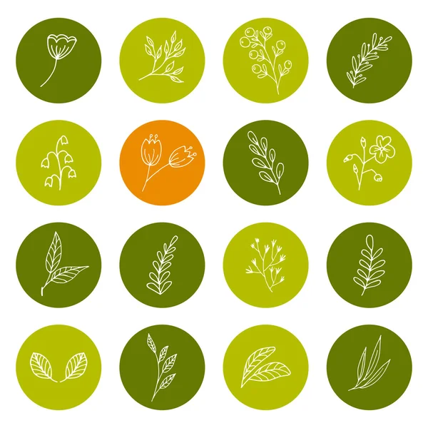 Set van hand getrokken floral pictogrammen — Stockvector