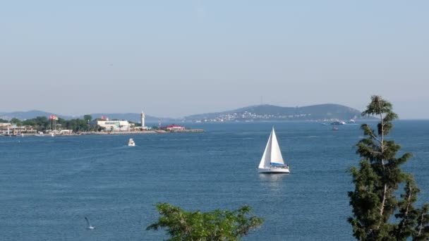 イスタンブール カディコイのカラミス湾で帆を持って行く大きな帆船 — ストック動画