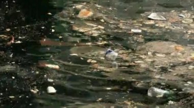 İstanbul 'daki The Golden Horn' da deniz yüzeyinde plastik şişe ve ekmek atıkları yüzüyordu.