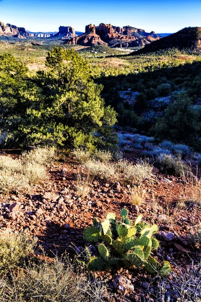 Cathedral Rock Jest Słynnym Zabytkiem Sedonie Arizona Panorama Jest Jednym — Zdjęcie stockowe