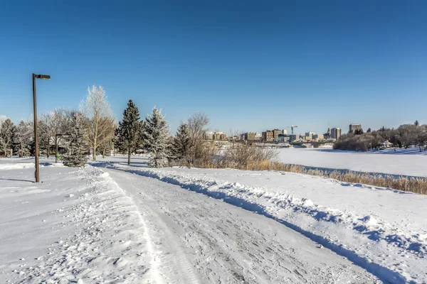 公园里雪地里的一条铲过的小路 — 图库照片