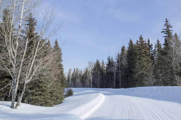 Snow Covered Road — Stock Photo, Image