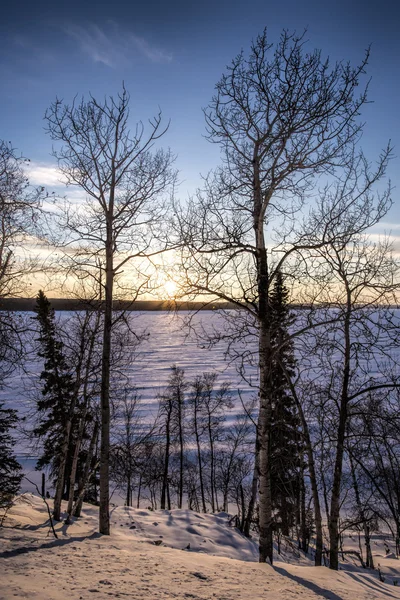 太阳落在冰封的雪覆盖的湖面上 前景中的树木轮廓 — 图库照片