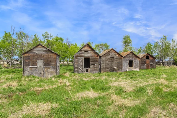 老被遗弃的农场建筑以风化木材外观 — 图库照片