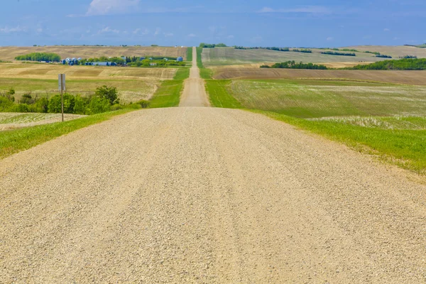 Gamla Grusvägen Leder Genom Prärien Landskapet Längs Några Gård Varv — Stockfoto