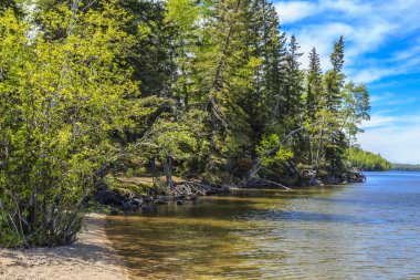Gölün sakin suları boyunca uzanan uzun ağaçlar..