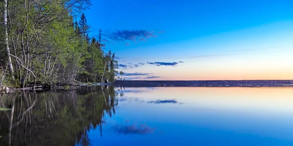 Höga Träden Längs Sjöns Lugna Vatten — Stockfoto