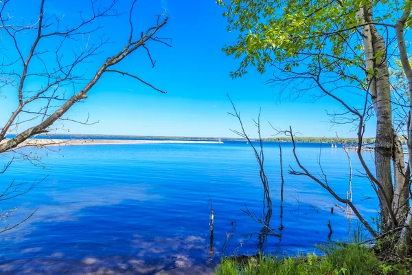 Los Árboles Altos Largo Las Tranquilas Aguas Del Lago — Foto de Stock