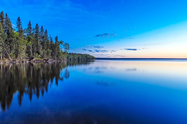 Les Grands Arbres Long Des Eaux Calmes Lac — Photo