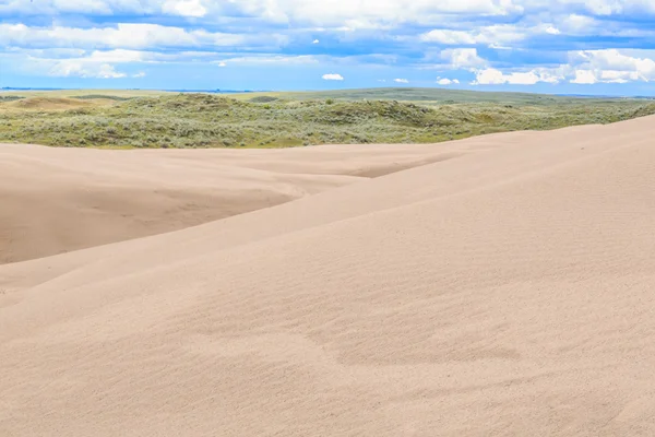 Great Sandhills Contain One Largest Set Active Sand Dunes Canada — Stock Photo, Image